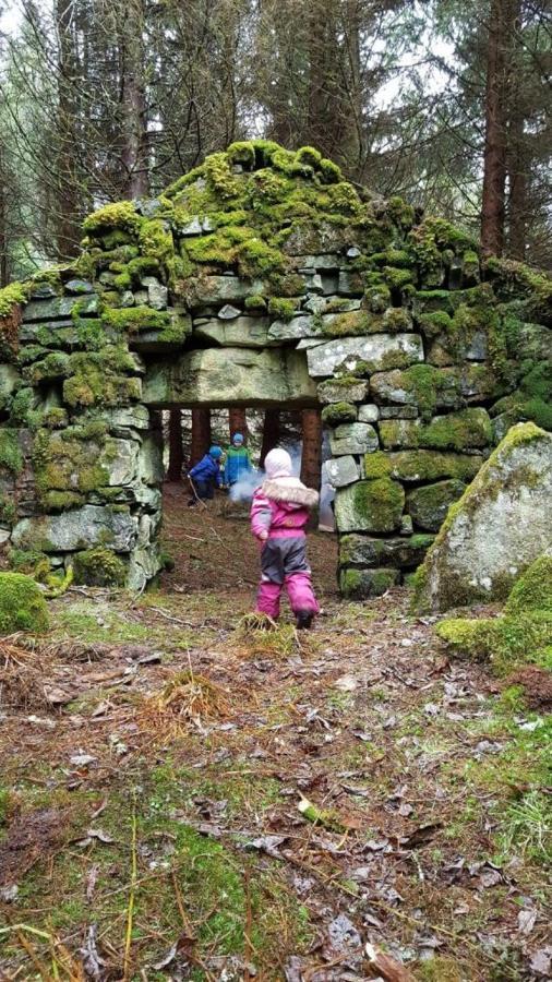 Orheimstunet - Gardsferie For Storfamilien Der Ogsa Hunden Er Velkommen Starheim 외부 사진